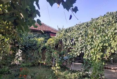 Vand casa ,cu curte ?i gradina - 3
