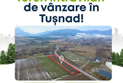 Teren de 4100 mp, în Tușnad - 9