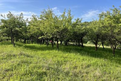 Spațiu comercial, în Central - 1