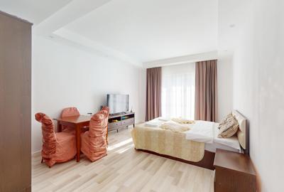 Apartament cu 2 camere decomandat, mobilat în Ștefăneștii de Jos