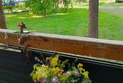 Vand garsoniera in Geoagiu Bai - 4