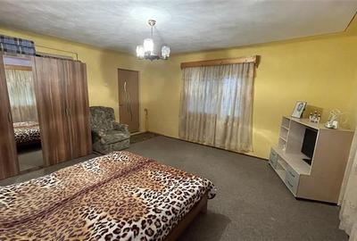 Casă individuală cu 4 camere cu Teren 2500 Mp în Ulieș - 27