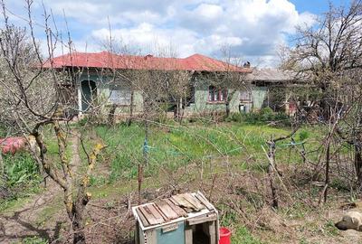 Casă cu Teren 1500 Mp în Hodivoaia - 4