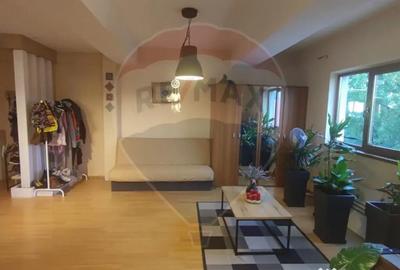 Apartament cu 2 camere decomandat în Paleu - 13