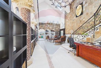 Proprietate specială, de 608 mp, în Mogoșoaia - 8