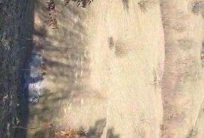 Spațiu comercial, în Central - 1