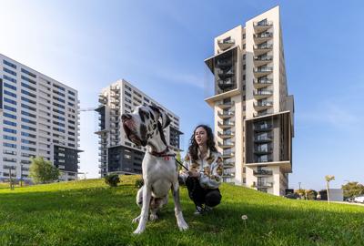 3 camere, de la dezvoltator: XCity Towers- 135375 EURO + TVA - 13