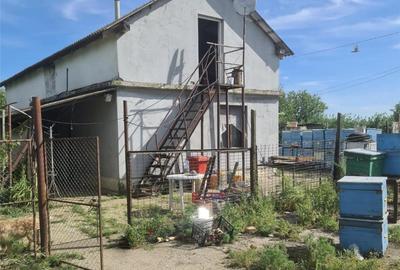 Casă cu 4 camere în Zădăreni - 8