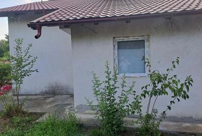 Doua case ,2000 mp teren,Slatioarele,Babana,Arges - 9