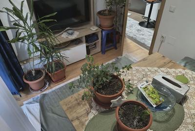 Apartament cu 2 camere decomandat, mobilat în Nord-Vest - 20