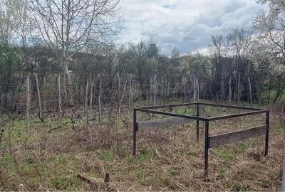 Casă cu Teren 1100 Mp în Cârbești - 5