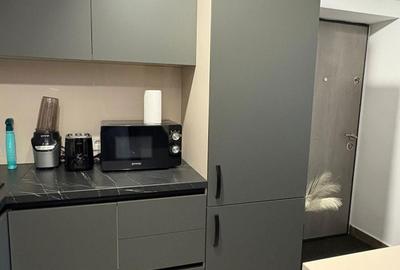 Apartament cu 2 camere semidecomandat în Ferdinand - 3