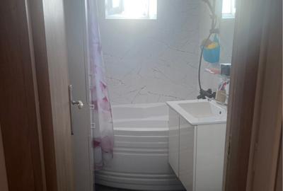 Apartament 2 camere Decomandat Severinului Promenada - 4
