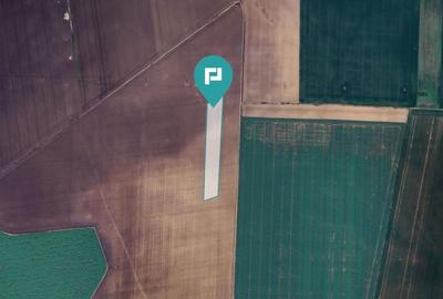 Teren 36.000 mp in Peciu Nou - 2