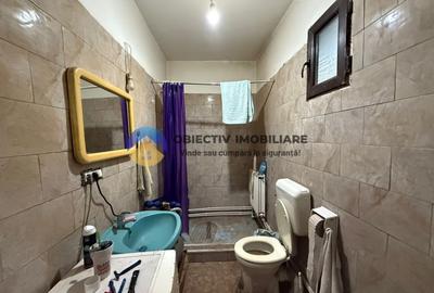 Casa de vanzare - GHINDAOANI - 10