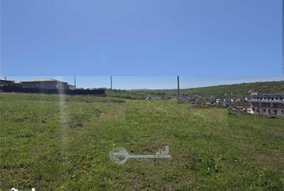 Teren de 500 mp, în Bârnova - 2