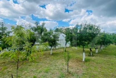 Casă cu 4 camere cu Teren 2753 Mp în Central - 3