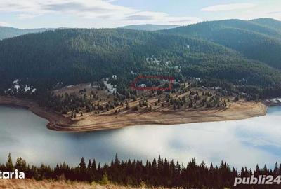 Teren de 10000 mp, în Beliș - 1