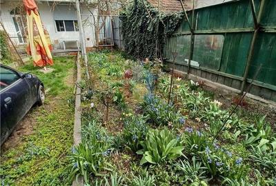 Casă cu 4 camere în Nicolae Bălcescu - 19