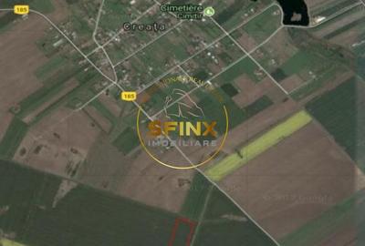 Teren agricol intravilan de 36000 mp, în Dascălu