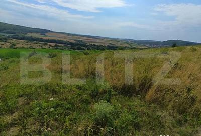 Teren de 6500 mp, în Central - 3