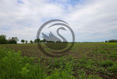 Teren de vanzare in Manesti, Prahova | 18.000 mp | Deschi... - 2