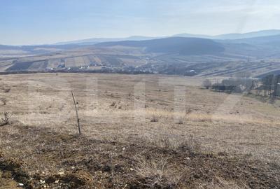 Teren extravilan in suprafata de 140551 mp in loc. Recea - 11