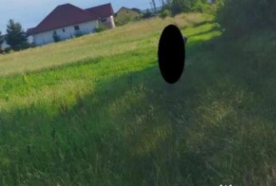 Teren de 3900 mp, în Săcălășeni - 2