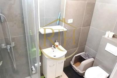 Apartament cu 3 camere decomandat în Buziașului - 9