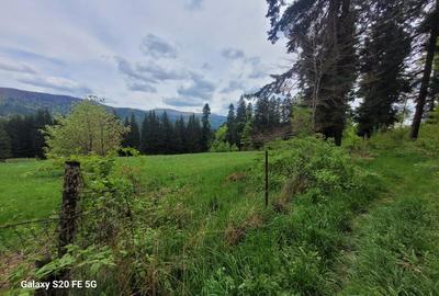 Teren intravilan de vanzare in Busteni - 5