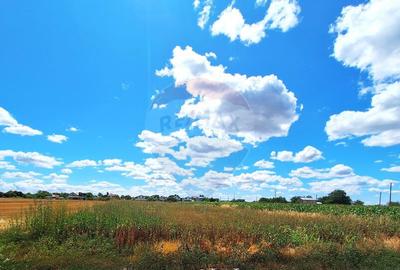 Teren Focsanei / DN sat Focsanei Vadu Pasii - 6