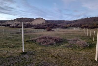 Spațiu comercial, în Central