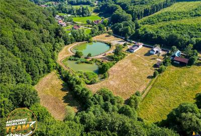 Spațiu comercial, în Valea Dobârlăului - 8
