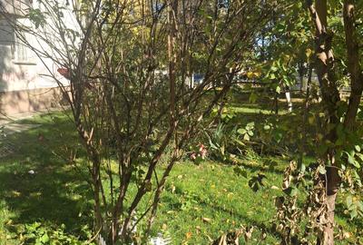 2Camere Patelimon Morarilor Parcul Florilor 2Camere Patelimon Morarilor Parcul Florilor - 14