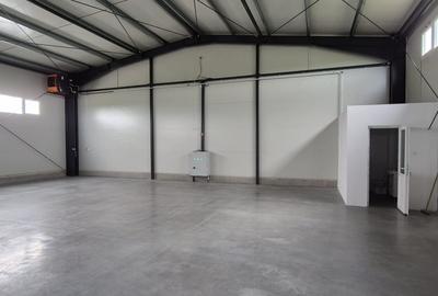 Hala industriala  in zona Aurel Vlaicu - 5