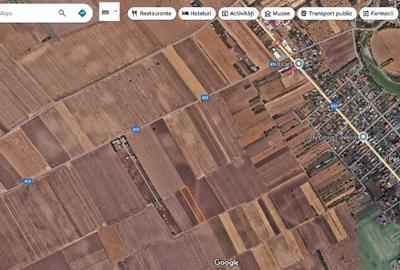 Vand terenuri in zona Frumusani / Buciumeni / Budesti jud. Calarasi - 9