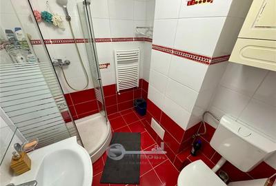 Apartament cu 3 camere decomandat, mobilat în Păcurari - 10