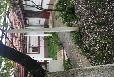 Casa parter 122 mp + teren 1502 mp Cerneteaz, Strada Daliei (central, drum asfaltat) - 2