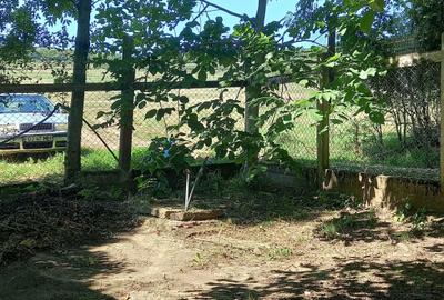 Casă cu 3 camere în Central - 1