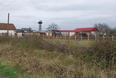 Teren Construcții intravilan de 980 mp, în Sântion