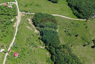 Teren Construcții intravilan de 30670 mp, în Codru Butesii - 4