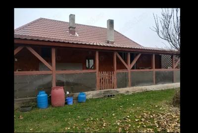 Casă cu 1 camere în Exterior Vest - 5