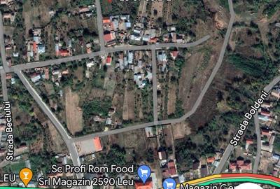 Vand 2248 mp (teren intravilan+ casa), Leu , jud Dolj livada pomi Vand 2248 mp (teren intravilan+ casa), Leu , jud Dolj livada pomi - 8