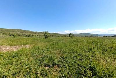 Teren Construcții intravilan de 453 mp, în Sebeș - 2