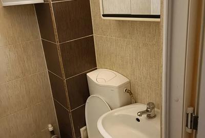 Proprietar inchiriez apartament cu o camera in Timi?oara - 5