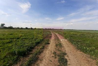 Teren aproape de Bucuresti langa padure între case - 3