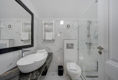 Vindem Afacerea ! Mini Hotel + Cafenea/ Restaurant ! Parcul Carol ! - 55