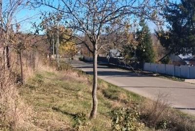 Teren, loc de casa 1800 mp - 5