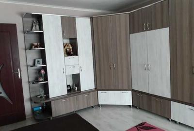 Apartament cu 2 camere decomandat în Nufărul - 3