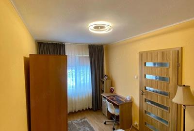 Apartament cu 2 camere semidecomandat în Șeica Mare - 7
